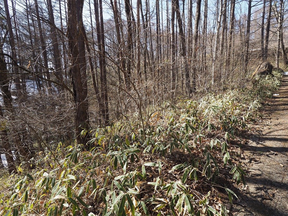 八ヶ岳で別荘を探すなら セラヴィリゾート泉郷